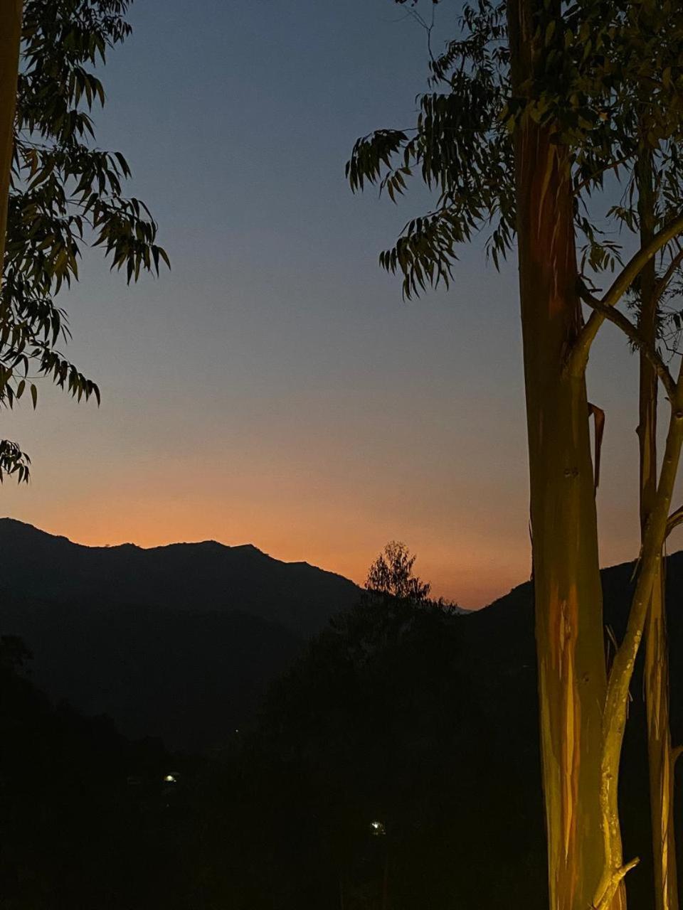 Campsite Tamborillo